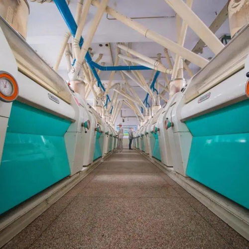 喜訊 省級特色優(yōu)勢食品產(chǎn)業(yè)強鎮(zhèn) 特色優(yōu)質食品,我市新增2項省級食品工業(yè)榮譽